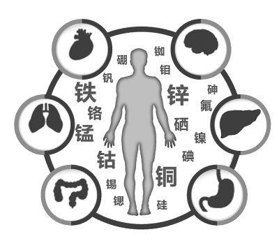 【600cc全讯白菜网站地址】身体不可缺少微量元素