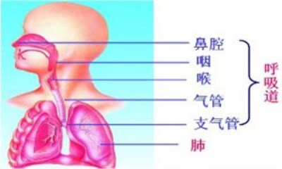 600cc全讯白菜网站地址之预防秋季常见传染病?600cc全讯白菜网站地址