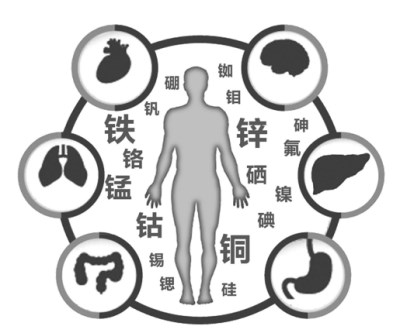 微量元素分析仪厂家解析微量元素失衡会致癌吗?600cc全讯白菜网站地址