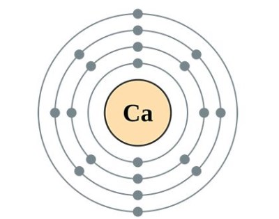 人体微量元素分析仪解析钙是怎么充分的被吸收的那-600cc全讯白菜网站地址