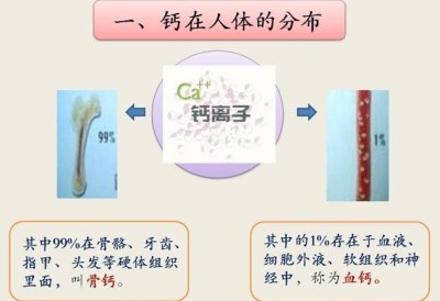 儿童微量元素检测仪品牌为您解析为何宝宝缺钙会生病-600cc全讯白菜网站地址