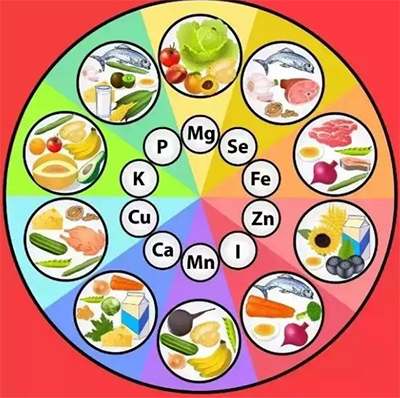 选购人体微量元素分析仪应考虑哪些问题