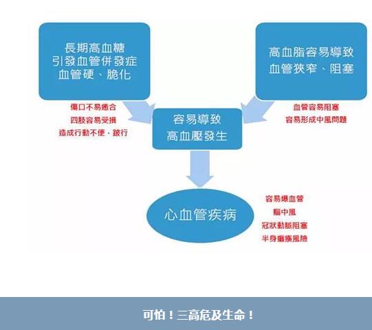 人体微量元素检测仪品牌gk剖析硒与三高人群不得不说的关系！